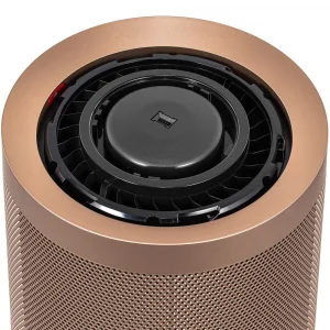 Очиститель воздуха Dyson Purifier Big Quiet Formaldehyde BP04